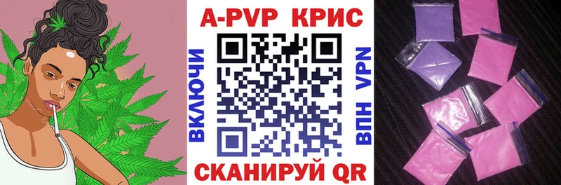 A PVP крисы CK omg маркетплейс Лесосибирск