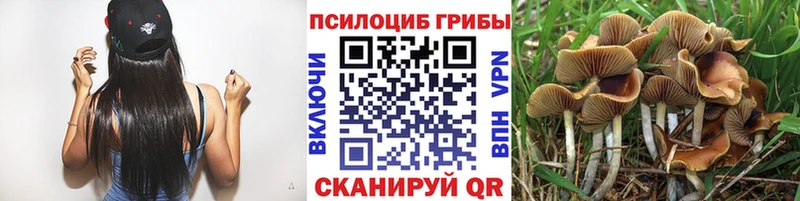 Галлюциногенные грибы мицелий  Лесосибирск 