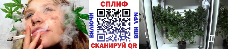 магазин  наркотиков  Лесосибирск  Канабис конопля 